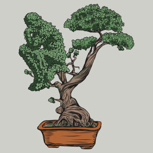 thinking-bonsai